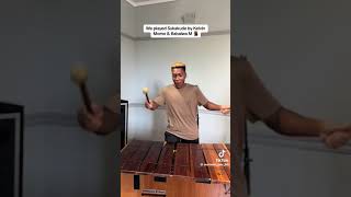 kelvin momo and Babalwa M -Sukakude (marimba remix)