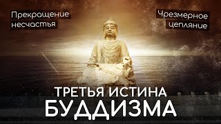 Третья Благородная Истина буддизма. Свобода от несчастья. Путь Будды, Нирвана и типы привязанности.