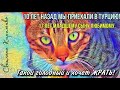 Все по прежнему через десять лет. Что изменилось у нас в Турции. Махмутлар Аланья Турция.