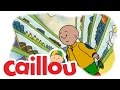 Caillou - Caillou Goes Shopping  (S01E13) | Cartoon for Kids