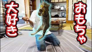 おもちゃ無しで遊ぼうとしたら・・・