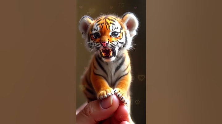 Les 10 petits animaux les plus mignons du monde v2  #animaux #cute #shorts