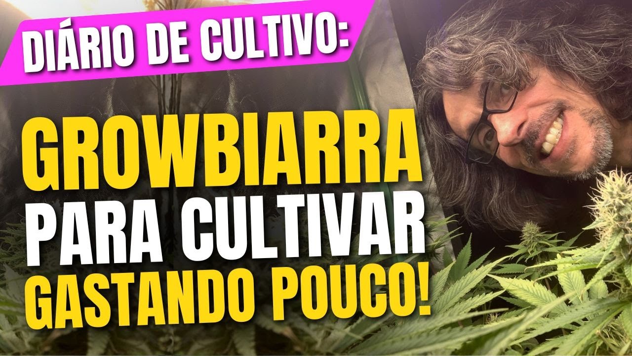 Como cultivar em casa GASTANDO POUCO + Growbox de Floração - EP. De Cultivo
