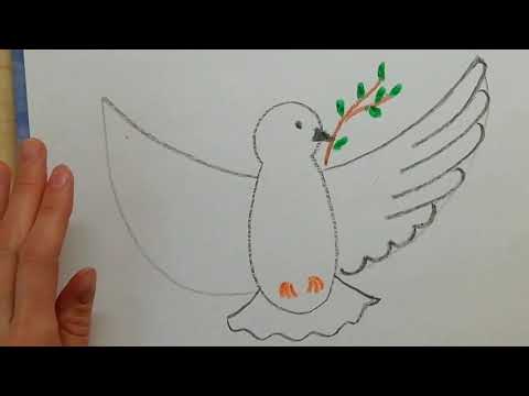 Рисуем голубя - символ мира!