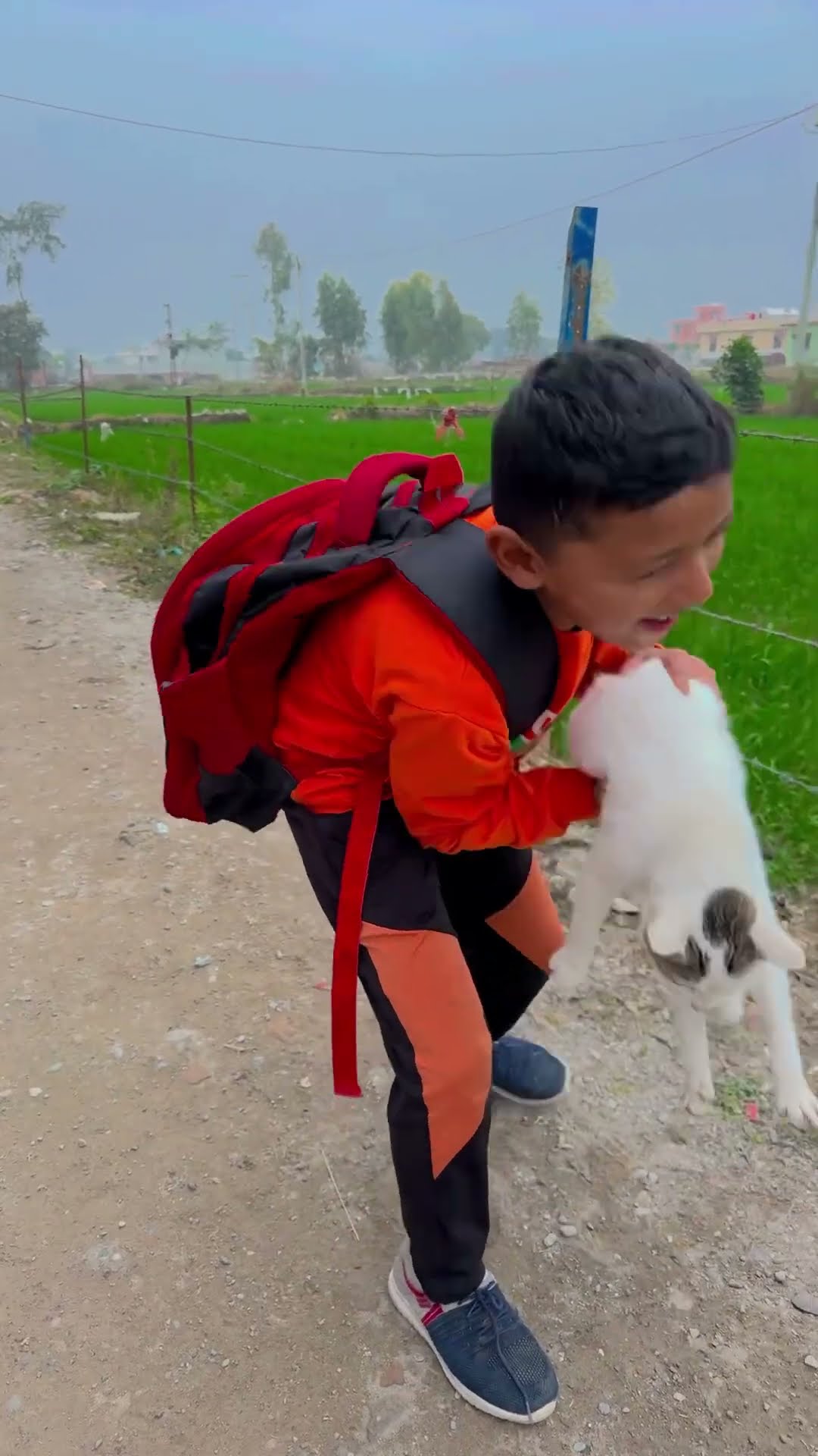 माँ प्यारे से कैट को भूख लगी है ❤️? #shorts #trending #love #viralvideo #maa #cat