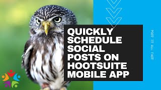 Quickly Schedule Social Posts on Hootsuite Mobile App - TaskTeam Online screenshot 2