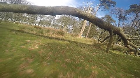 FPV 180 Racing around woods Betaflight 2.2.0