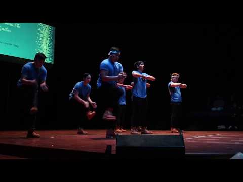 Lambda Phi Epsilon-MSU Chapter Step