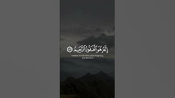 إن الله يفغر الذنوب جميعا 🥺💗 | القارئ ماهر المعيقلي