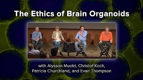 The Ethics of Brain Organoids with Alysson Muotri ...