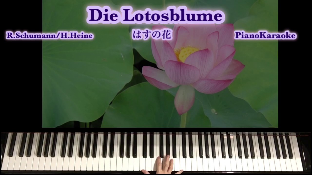 ハイネ Taubenpost 歌曲雑感
