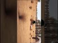 رحله علي شاكر الئ كربلاء 