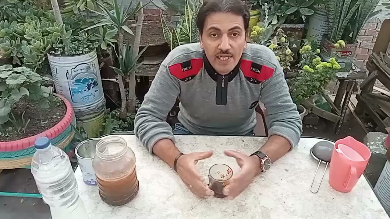 الطريقة الصحيحة بالتسميد ببقايا الشاى والقهوه لنباتك فنون زراعة الاسطح