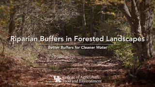Riparian Buffers in Forested Landscapes - Better Buffers for Cleaner Water