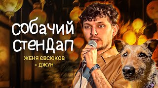 Собачий стендап | Женя Євсюков | Я дам краще життя собаці, але не цій