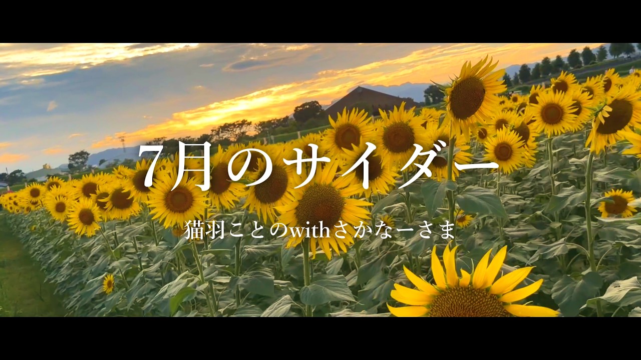 ꙳✧ 7月のサイダー〖 I_STREAM / 猫羽ことの 〗 #shorts