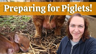 Building a Kunekune farrowing pen (and how do you know when a pig will give birth?!)