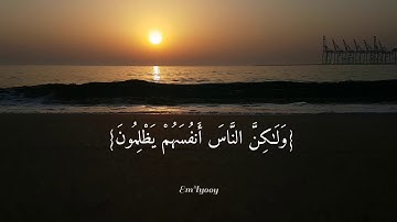 القارئ سعد الغامدي - {إن الله لا يظلم الناس شيئا ولكن الناس أنفسهم يظلمون} - {سورة يونس}