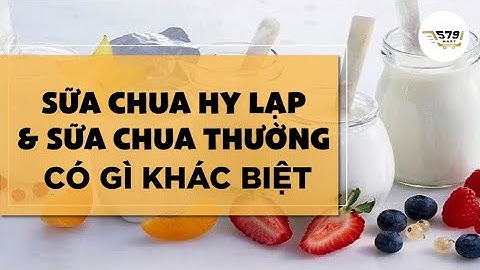 So sánh các loại sữa chua