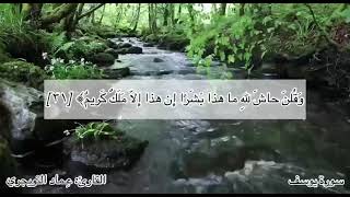 ماتيسّر من سورة يوسف | القارئ : عماد التويجري