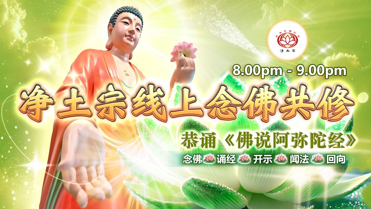 【同步】净土宗线上念佛共修暨法师开示【第2176天】+ 开示视频《六字名号》03-03-2026 Online Session（晚上8pm-9pm (GMT+8))【打开CC字幕】