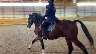 USEF Training Level Test 3 2019 version