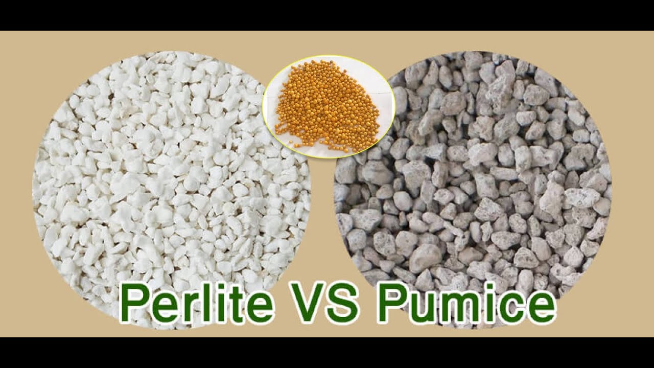 Cách trộn hỗn hợp sỏi giúp Lithop ra rễ chưa tới 1 tuần || Mix Soil for Lithops