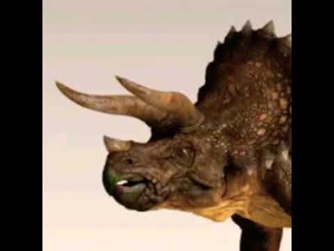 Triceratops Roar 🐲 🔊
