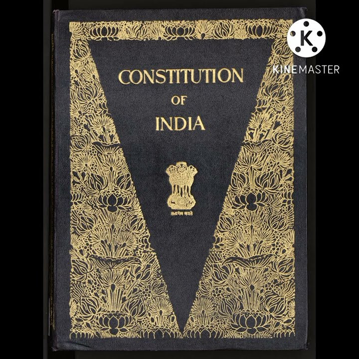 how-many-pages-in-indian-constitution-shorts-india-constutution-youtube