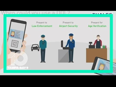 Florida set to launch access to digital driver's licenses