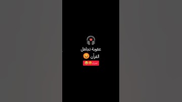 #قرآن #تلاوة_هادئة #تلاوة_خاشعة  #سورة_الجاثية #القارئ #الشيخ #ماهر_المعيقلي #اكسبلور #رمضان #شورت