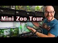 I Bought a Mini Zoo! New Enclosures, New Animals, New Reptile Collection!