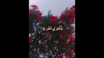 الآية ١٦ من سورة القصص بصوت القارئ رعد الكردي