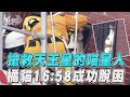 全台關注!搶救天王星的喵星人 橘貓16:58脫困動保員手被咬濺血｜TVBS新聞