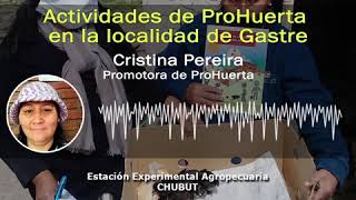 Actividades del ProHuerta en la localidad de Gastre.