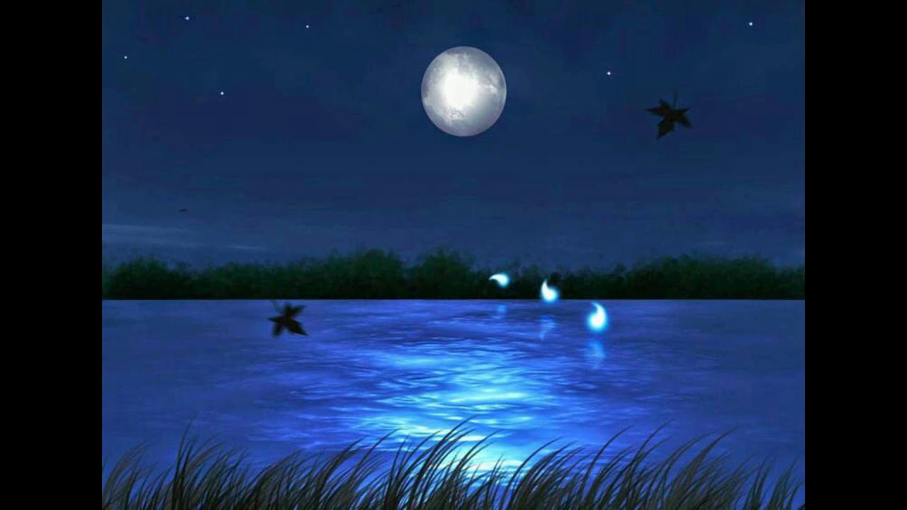 Severe Frost -Блуждающие огоньки