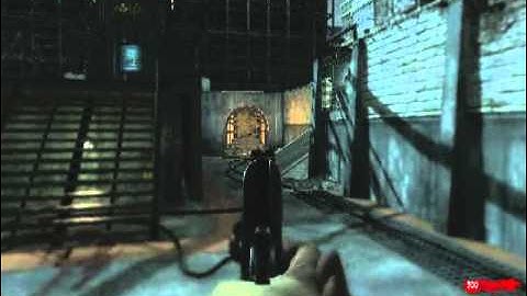 FRAPS Quality Test (World at War)