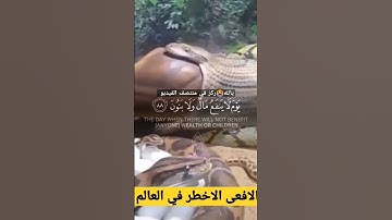 ولا تخزني يوم يبعثون #سورة_الشعراء #ناصر_القطامي #قران_كريم #قرآن #تلاوات