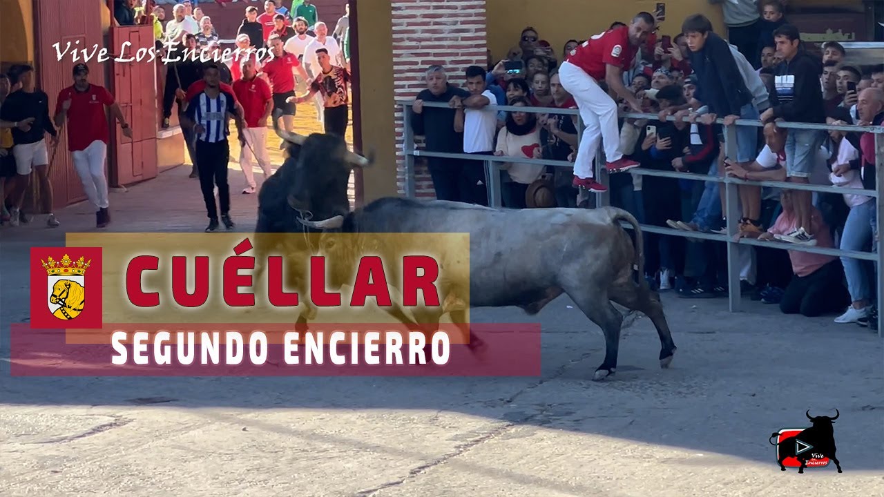 Paso de máquinas y llegada muy peligrosa #Cuéllar segundo encierro