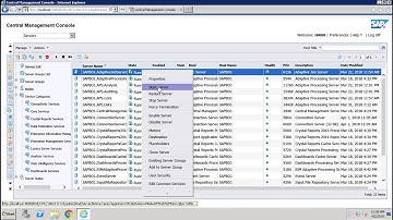 SAP BO Administration - Monitoring Server Status