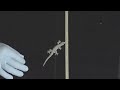 KeePerの自浄効果の秘密 ファンデルワールスの最小化(ヤモリの災難)