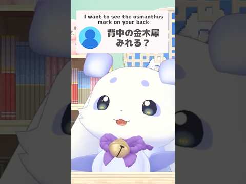 背中を見せてくれるちょま #shorts #るんちょま #ルンルン