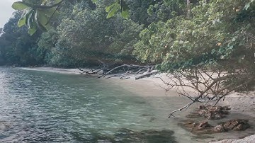 Hutan Simpan Tanjung Tuan