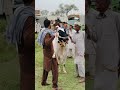 😤🌪️🫀 #2026 #cow #bull#jaffarmandi