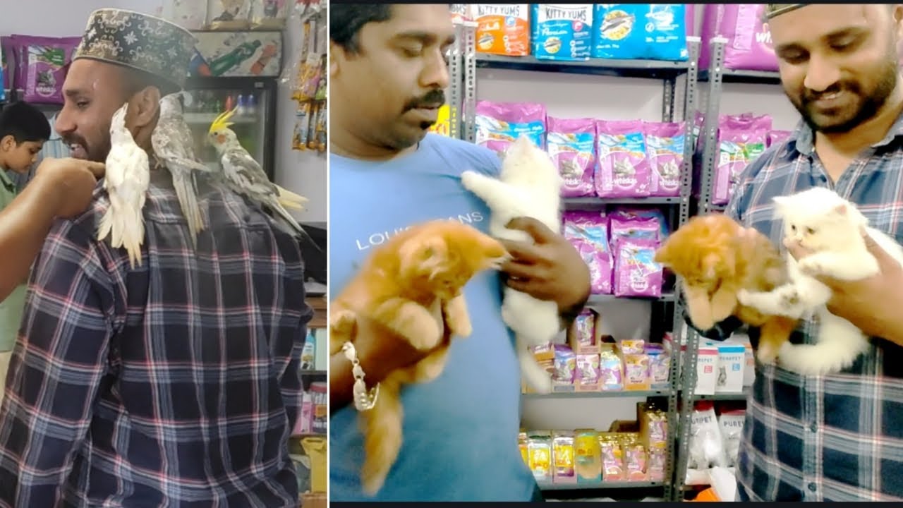 tinypawshyderabad8113 Pet Shop With Best Dod Cat and Bird Food