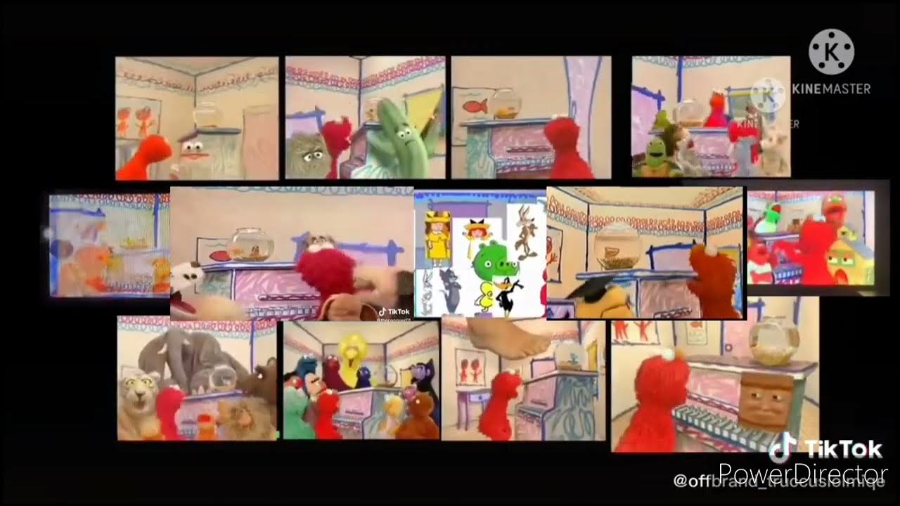 Elmo's World Various Song 5 - YouTube