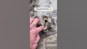 I Did NOT Expect That 😳 #trending #viralvideo #funny #share