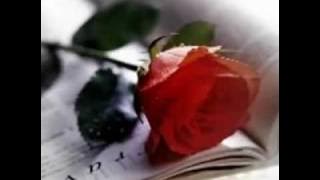 حوار بين قلبى وعقلى