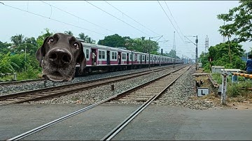 Dangerous DOG Headed ICF Emu Local Train Furious Moving Out At Railgate