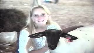 J Frank Dobie High School Video Yearbook - 1995 (Enhanced)